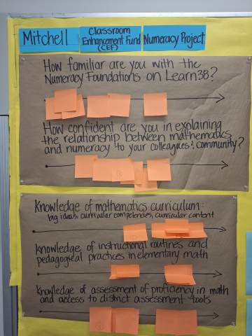 Early year staff survey